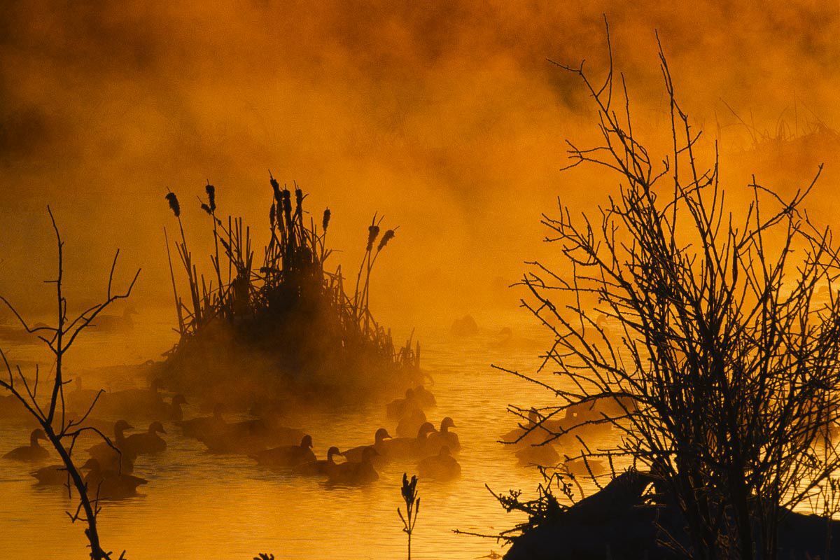 North Platte River